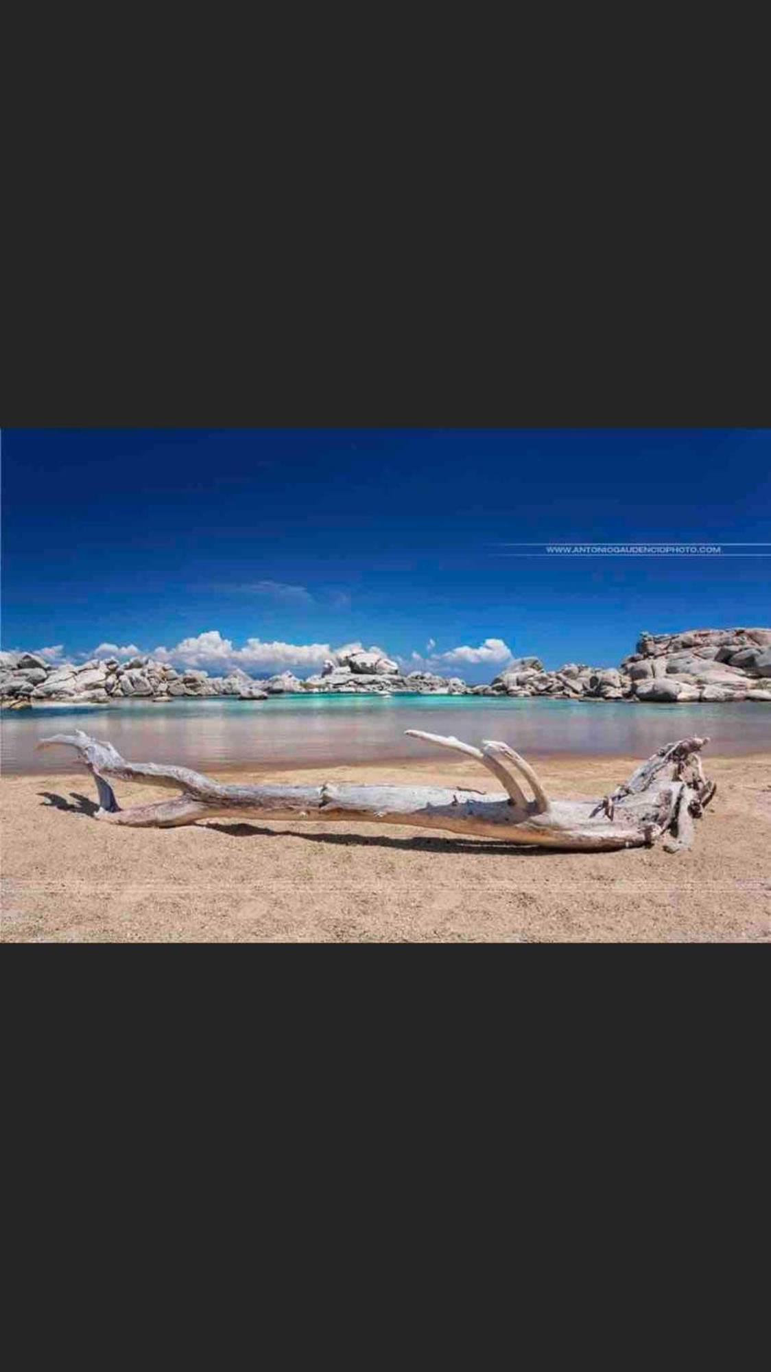 Sud-Corse Bavella Location Montagne Et Mer Sorbollano Экстерьер фото
